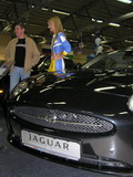 Jaguar XK, вид спереди