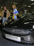 Jaguar XK,  